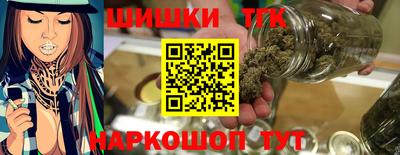 индика Аргун