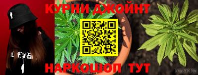 индика Аргун