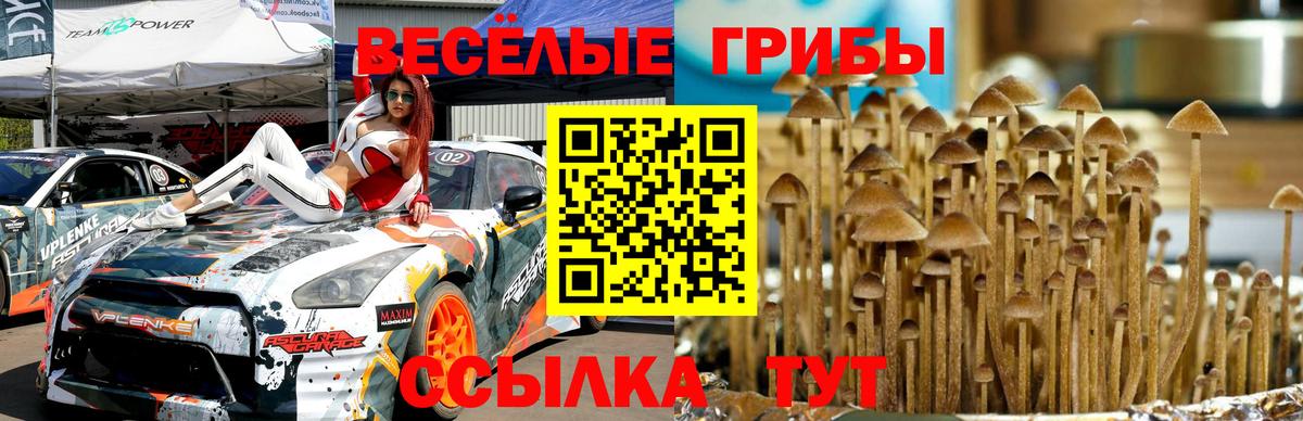 Балашиха  Галлюциногенные грибы мицелий  Вход с VPN  Галлюциногенные грибы мицелий 